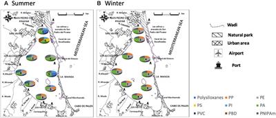 Screening and Quantification of Micro(Nano)Plastics and Plastic Additives in the Seawater of Mar Menor Lagoon